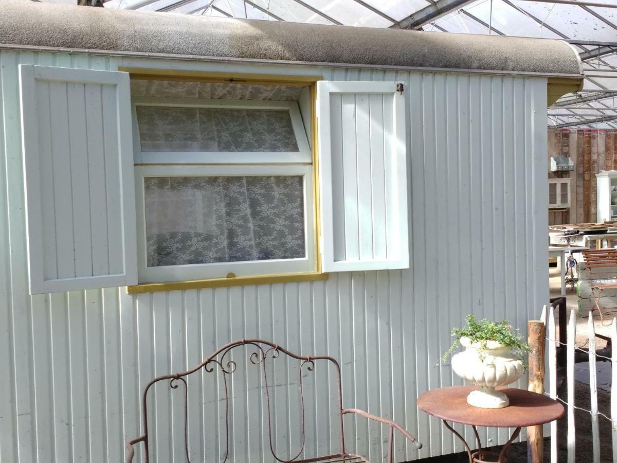 Pipowagen Overnachting Het Houten Huis Zaltbommel Exteriér fotografie