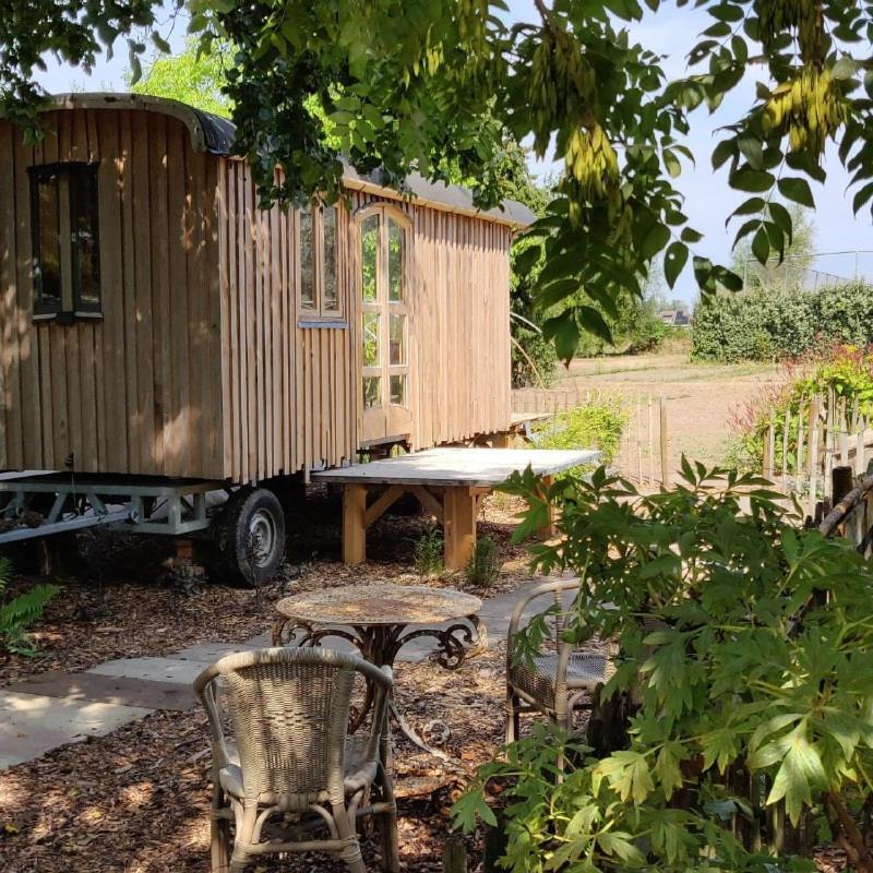 Pipowagen Overnachting Het Houten Huis Zaltbommel Exteriér fotografie